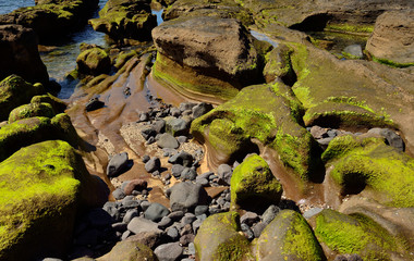 Rocks of peculiar shapes at low tide, The confital, coast of Gran canaria