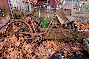 Rusty old bicycle