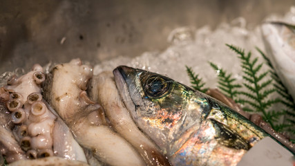 Squid Fish On Ice