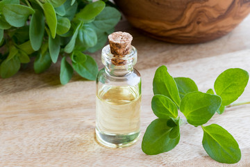 A transparent bottle of essential oil with fresh marjoram twigs