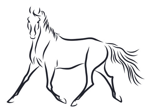 A line sketych of a horse trotting freely.