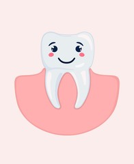 Healthy appearance of stylized molars. Vector illustration.
