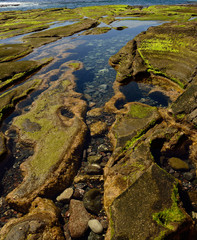 Puddles in the reef, coast of the confital, island of Gran canaria