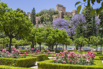 Malaga in Spring