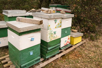 Apiary on a pasture in Croatia in spring