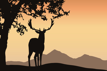 Fototapeta na wymiar Deer with antler standing under a deciduous tree in a mountain landscape under an orange sky - with space for your text