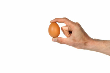 Hand holding chicken egg isolated on white background.