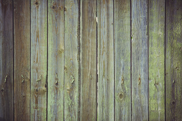 Old green wood background, vertical stripes and old bent nails