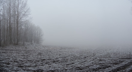 Foggy and frozen field in Sweden