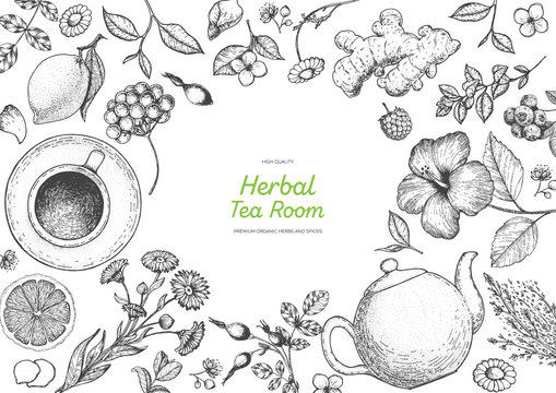 Herbal Tea shop frame vector illustration. Vector design with herbal tea ingredients. Hand drawn sketch collection. Engraved style.
