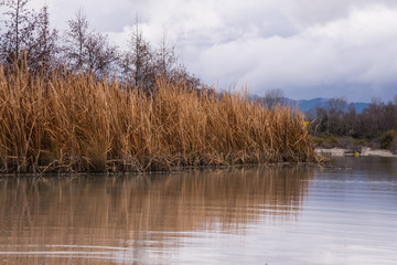 Rotorua, New Zealand