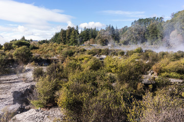Fototapeta na wymiar Hot Springs, New Zealand