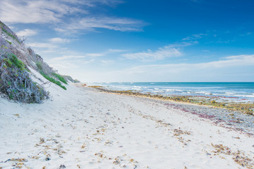 Beautiful beach in Port Elizabeth South Africa with white sand and blue skies