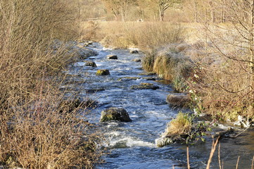 wilder Fluß in der winterlichen Wiese