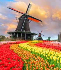 Gordijnen Nederlandse windmolens © neirfy