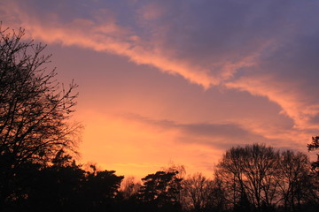 wunderschöner Sonnenuntergang mit leuchtenden Farben von orange bis blau und einem Schattenriss aus Bäumen und Sträuchern