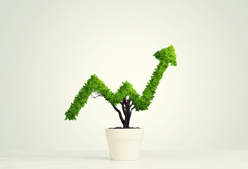 Concept of investment income and growth with tree in pot