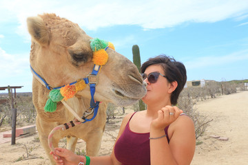 Beautiful girl on a tour with a camel. Mexico