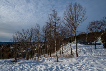 Northern Europe Norway Trondheim Landscape 北欧 ノルウェー トロンハイム 風景
