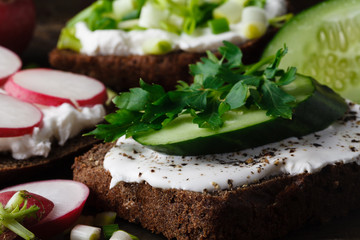 Crackers with cottage cheese, radish, cucumber decorated with cress salad and fresh herbs
