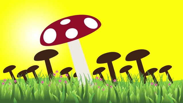 Anima&ccedil;&atilde;o com v&aacute;rios cogumelos