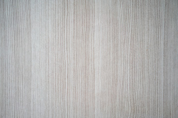 Wood texture. Wood texture for design and decoration