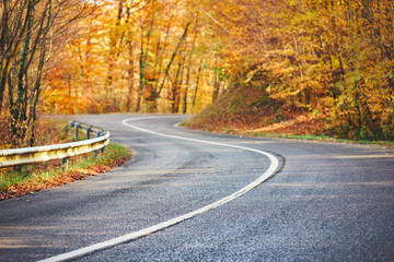 Fototapeta premium Mountain Road trough autumn forest