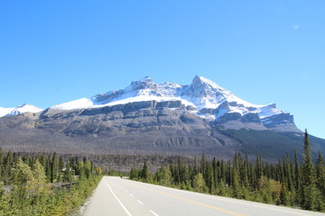 Grand Mountains By Icefields Parkway, Banff National Park, Alberta