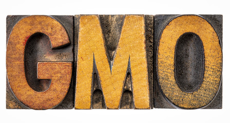 GMO acronym in vintage wood type