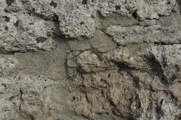 Naklejka premium Paestum