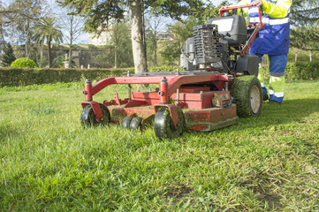 Obraz premium Gardener mowing the grass with engine powered mower at urban park