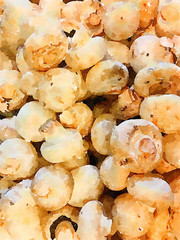 Farm Fresh painting of White Mushrooms