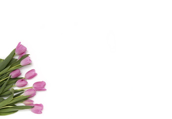 Fototapeta na wymiar Tulip bouquet on white background