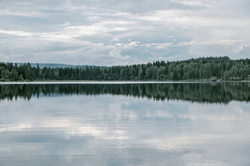 landscape of tree reflection in peaceful lake 