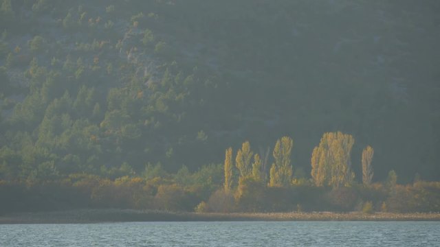 Krka River and forest