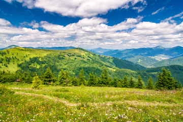 Spring landscape with flowery meadows and the mountain peaks, blue sky with clouds in the background. Velka Fatra National Park, Slovakia, Europe.