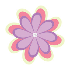 beautiful flower icon over white background, colorful design. vector illustration