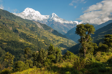 Fototapeta na wymiar Annapurna South and small hill-slide settlements from Chainabatthi, Nepal