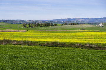 hill landscape at spring with sky and meadow