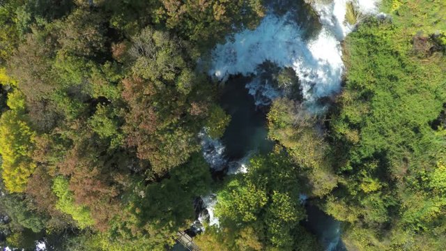 Aerial view of a river through the woods