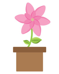 beautiful flower in a pot over white background, colorful design. vector illustration