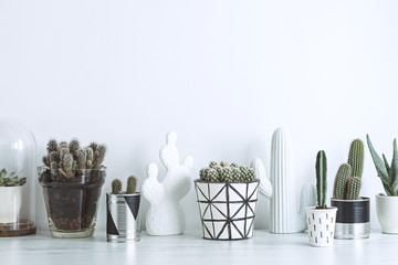 Scandi interior filled a lot of modern  cacti in different hipster pots on the marble table. Compostion of home garden.