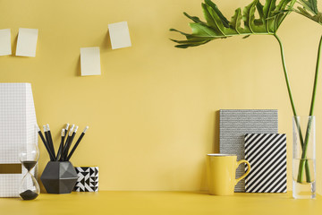 Yellow desk with plant and notebooks
