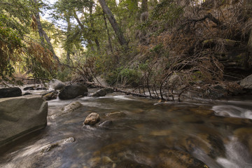 Long exposure river in Los Alerces National Park