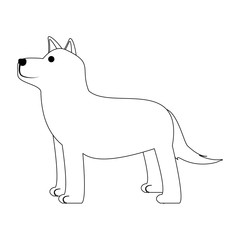 cartoon dog icon over white background, vector illustration