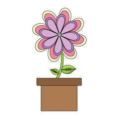 flower plant in a pot over white background, colorful design. vector illustration