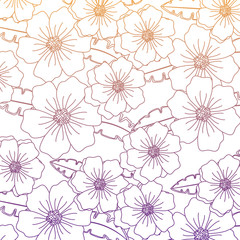 tropical flowers background, colorful design. vector illustration