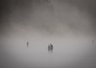 Silhouette of Couple Foggy Beach