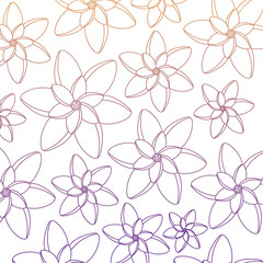 beautiful flowers background, colorful design. vector illustration