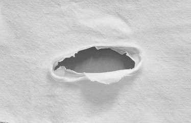 pieces of torn paper texture background, copy space.